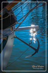 Harbour, Hoorn (42)
