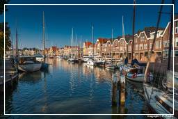 Hoorn (46) Harbour