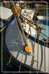 Harbour, Hoorn (59)