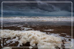 Katwijk aan Zee (18)