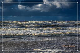 Katwijk aan Zee (45)