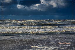 Katwijk aan Zee (45)