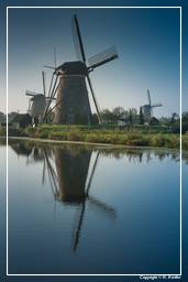 Kinderdijk (4) Windmühlen