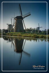 Kinderdijk (4) Molinos de viento