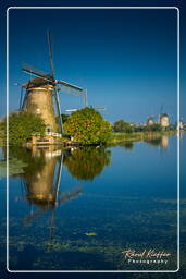 Kinderdijk (18) Moinhos de vento