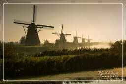 Kinderdijk (19) Windmühlen