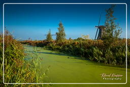 Windmills, Kinderdijk (20)