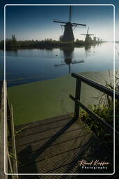 Kinderdijk (26) Moinhos de vento