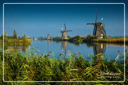 Kinderdijk (27) Molinos de viento