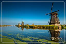 Kinderdijk (28) Moulins à vent