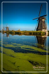 Kinderdijk (29) Moinhos de vento