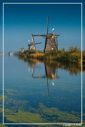 Kinderdijk (30) Windmühlen