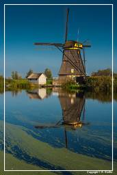 Kinderdijk (35) Windmills