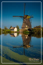 Kinderdijk (35) Molinos de viento