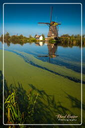 Kinderdijk (36) Molinos de viento