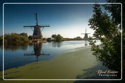 Kinderdijk (39) Molinos de viento