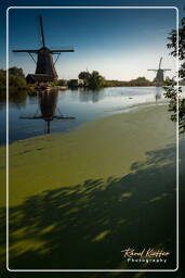 Windmills, Kinderdijk (40)