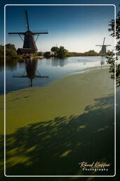 Kinderdijk (40) Molinos de viento