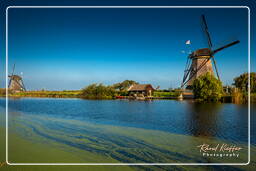 Kinderdijk (41) Molinos de viento