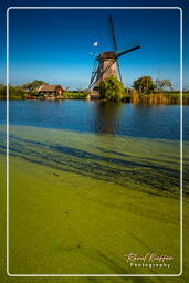 Kinderdijk (42) Windmühlen