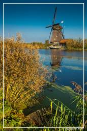 Kinderdijk (43) Windmills