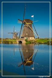 Kinderdijk (46) Windmühlen