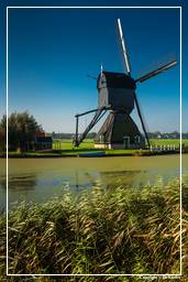 Kinderdijk (47) Windmills