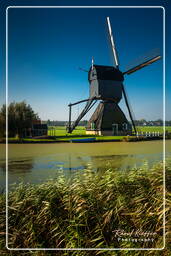 Kinderdijk (47) Molinos de viento