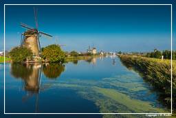 Kinderdijk (52) Windmills