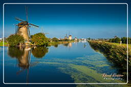 Kinderdijk (52) Moulins à vent