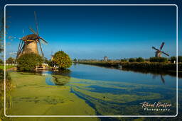 Windmills, Kinderdijk (53)