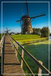Kinderdijk (55) Windmills