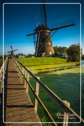 Kinderdijk (55) Molinos de viento