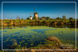 Kinderdijk (56)