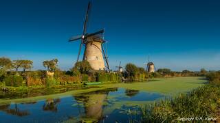 Kinderdijk (60) Windmills