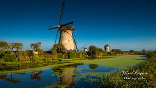 Kinderdijk (60) Moulins à vent