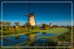 Kinderdijk (60) Moulins à vent