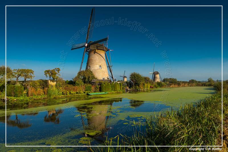 Kinderdijk (60) Windmills