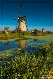Kinderdijk (61) Windmills