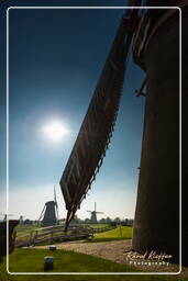 Windmills, Kinderdijk (62)