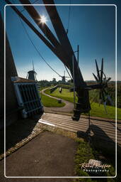 Kinderdijk (63) Windmühlen