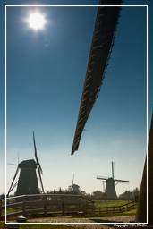 Kinderdijk (64) Moinhos de vento