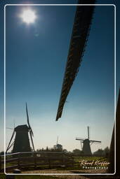 Kinderdijk (64) Windmühlen