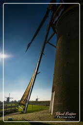 Windmills, Kinderdijk (68)