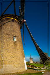 Kinderdijk (69) Molinos de viento