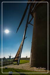 Windmills, Kinderdijk (83)