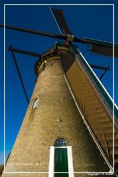 Kinderdijk (85) Windmills