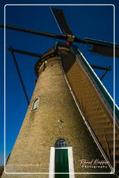 Kinderdijk (85) Molinos de viento