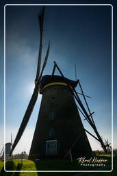 Kinderdijk (92) Moinhos de vento