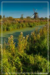 Kinderdijk (96) Windmills